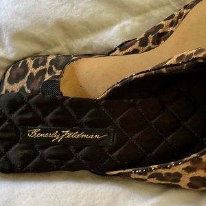 Beverly Feldman Kitten healed Slides